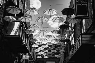 Irland - The Umbrellas Dublin - From Dublin to the Cliffs Of Moher - Culture, good times and lots of Guinness!