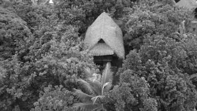 Colombia - Palomino - Magic Santa Marta Cacao Trip - Authentic Colombia (Spanish Only) - 2