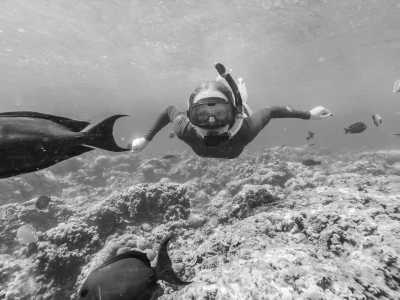 Thailand - Phi Phi Islands - Join this magical Thailand Lantern Festival in Chiang Mai✨ Adventures on beaches and islands Phuket, Phi Phi and Krabi✈ - 4