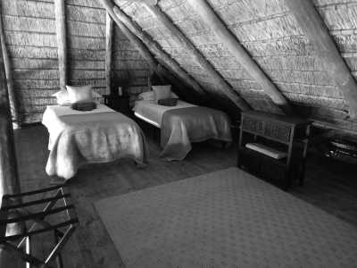 South Africa - Wagon Drift Lodge - From Bustle to Bundu - Explore 'The Place of Gold' (Gauteng) in beautiful South Africa - 2