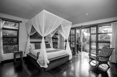 Indonesia - Ubud - Paradise Escape - CoWorking in Bali Ubud, Indonesia - 3