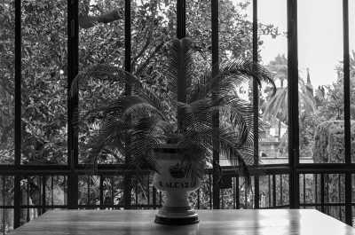 Spain - Royal Alcázar of Seville - Girls Trip to Spain: Seville to Cordoba in a Luxury Apartment with Pool 🤩 - 1