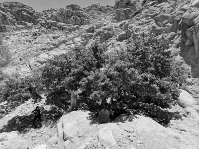 Egypt - South Sinai Governorate - Egypt Nature Retreat: Mountainous Getaway for Swimming and Relaxation - 1