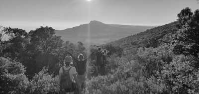 Portugal - Parque Natural da Arrábida - Slow Coliving near Lisbon in Arrábida Natural Park - Community, Wellbeing, Adventure & Sustainability (private double rooms) - 11