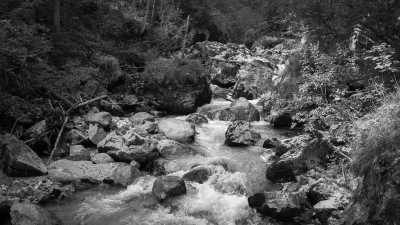 Germany - Zauberwald - A Magical Experience | Hiking & camping in German Alps | Walkshop Light | Berchtesgadener Land | Königsee | 5 days - 7