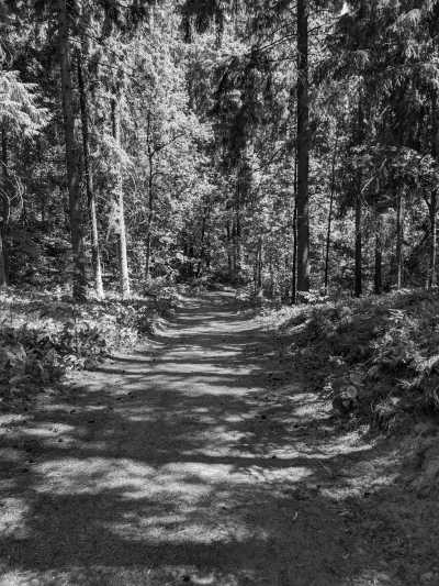 Northern Europe - Nationalpark Ķemeri - Discover the Baltic States - Tallinn, Riga, Vilnius and much more! - 3