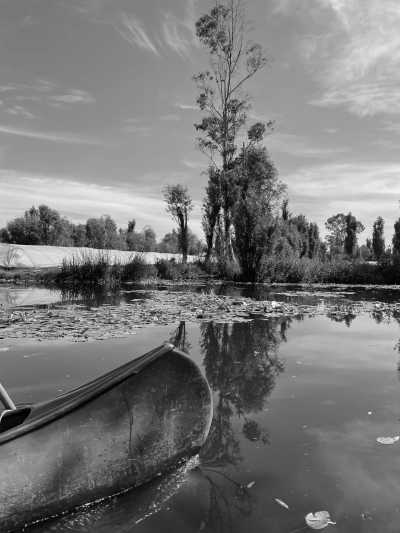 Mexico - Xochimilco - Mexico City: Monarch Migration Expedition - 5