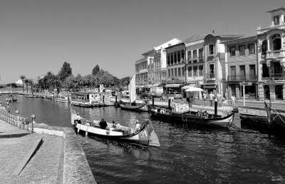Portugal - Aveiro - Ultimate Porto Travel Experience – Explore Portugal Like a Local! - 1