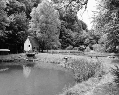 Hungary - Óbánya - Rural Roadtrip - Winter Hungary - Culture, Nature, Wildlife - Christmas
