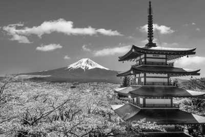 Eastern Asia - Lake Kawaguchi - Japan & South Korea: A Spring Adventure from Seoul to Busan, Tokyo & Majestic Mt. Fuji 🗻⛩️
