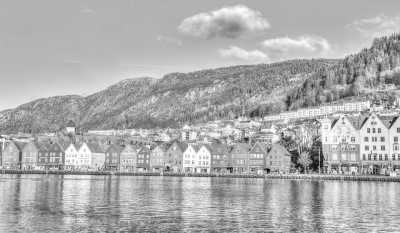 Norwegen - Bergen - Snorkel with Orcas in Norway - 3