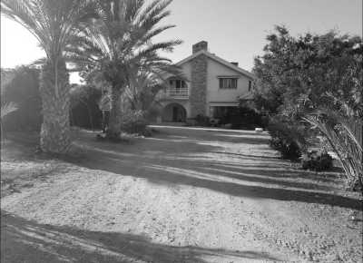 Cyprus - Paphos - Exploring Cyprus in 4 Days: Sunset Cruise, Fireworks, Live Shows, Cheese-Making Workshop, and Water Activities - 11