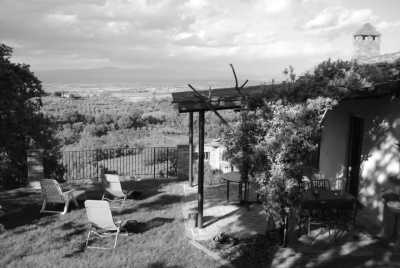 Italien - Val d'Orcia Scenic Spot - Walk in the wheat fields as in "Gladiator" movie! Roadtrip in Florence & Val d'Orcia, Italy with wine tasting - 3