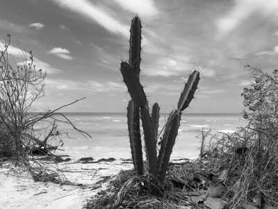 Mexico - Cancun International Airport - Adventure in Yucatán, Mexico: Ruins, Beaches, Cenotes and more!