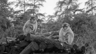 Morocco - Errachidia - Marokko Rundreise - Entdecke die Königstädte und Wüste - 3