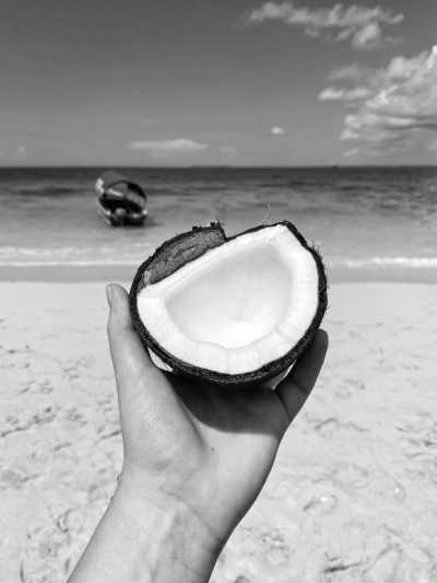 Tanzania - Zanzibar - Zanzibar: Co-Working in Paradise 🐚💻 (private rooms) - 1