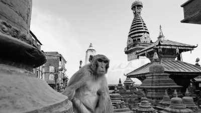 Nepal - Kathmandu - Embark on the Annapurna Circuit Trek in Nepal: Himalayan Adventure, Stunning Landscapes, and Cultural Immersion
