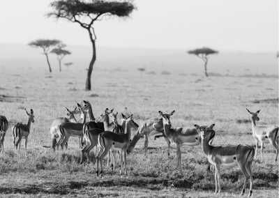 India - Goa - Relaxing Beach & Adventure | Beach Holiday Goa - 4