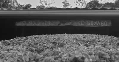 Costa Rica - La Gamba centro - Coworking or Volunteering from/in Costa Rica - 23