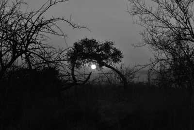 South Africa - Komatipoort - Südafrika: Wilde Tiere, der Krüger Nationalpark, Blyde River Canyon und Johannesburg - 2