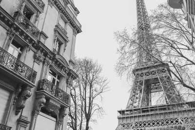 France - Paris - FRENCH DREAM 🎡: 4 Days Retreat to Explore Disneyland Paris, the Walt Disney Studios & Discover the City! - 2
