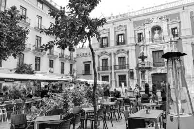 Spain - Torremolinos - Gay Group Trip - New Year's in Torremolinos - Spain