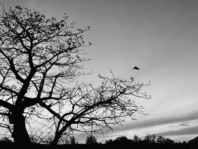 Tanzania - Jambiani - Zanzibar Coworking Experience: Your Journey Starts Here - 6