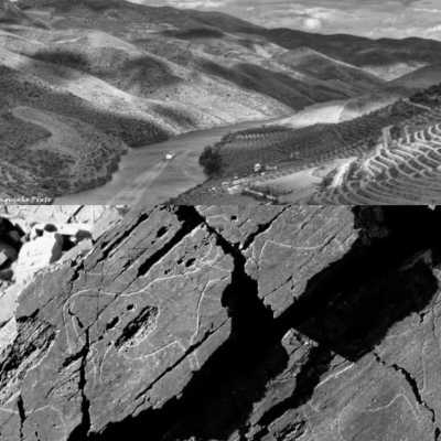 Portugal - Vila Nova de Foz Côa - Discovering Douro Valley Gems - The wines, Salling, Gastronomy and Nature - 8