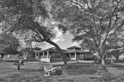 Kenya - Tsavo East National Park - Kenya Safari 🇰🇪​🐘​ Amboseli National Park - Private sharing room (fits 2 guest) - 4