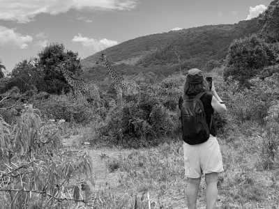 Tanzania - Arusha-Nationalpark - Tanzania Safari Trip - Rhinos, Lions & Elephants are waiting! - 2