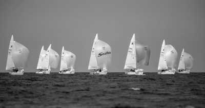 Niederlande - Stavoren - 24-Stunden Regatta auf dem IJsselmeer und im holländischen Watt