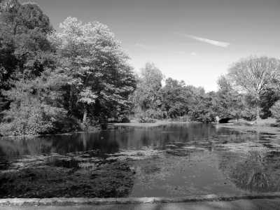 Vereinigte Staaten - Brooklyn - Explore the Food and Culture of New York City: Food Markets, Tours, and Festivals, Top Restaurants, Sunset Boat Tour, Broadway Show - 2