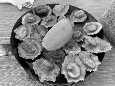 Portugal - Paul do Mar - Madeira Island Adventure Extravaganza: 7 Days of Thrills & Chills! (Dates flexible!) - 2