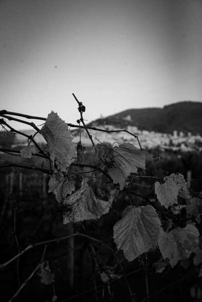 Italien - Assisi - Assisi & Orvieto: Medieval Magic & Umbrian Flavors Tour