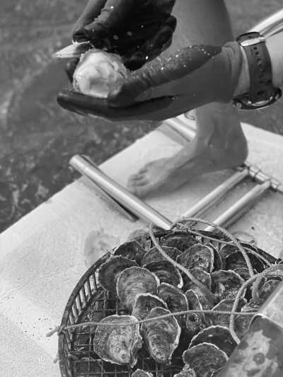 Kroatien - Pelješac - Dubrovnik Coastal Delights: 7 Days of Croatian Magic Like A Local - 1