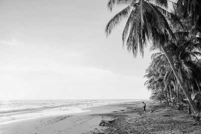 Costa Rica - Tamarindo - Escape to Paradise: Your Ultimate Coworking Retreat in Tamarindo, Costa Rica! - 2