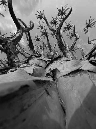 Southern Africa - Aus - Epic Overland Journey: From Namibe, Namibia to Cape Town, South Africa - 2