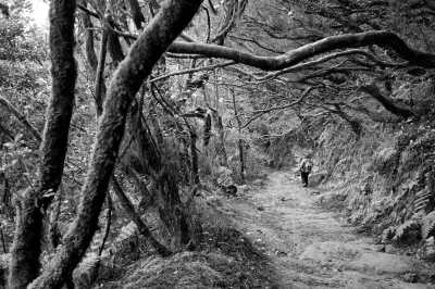 Spain - Anaga Rural Park - Coworking trip across the beautiful and sunny Tenerife☀️🏖️ - Private bedroom with double bed - 2