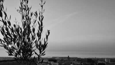 Morocco - Tamraght - Dive into the thrill of surfing, yoga, and delicious food, all while discovering the captivating beauty of the landscapes around Taghazout🏄 - 15