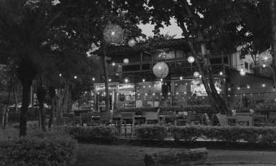 Costa Rica - Tamarindo - Majestic Adventures in Costa Rica: Beaches, Volcanoes, Hot Springs, Cloud Forest, and Pura Vida Lifestyle! - 4