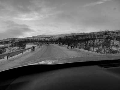 Northern Europe - Kilpisjärvi - Nordic Experience and Whale Watching in Norway,Finland - 6