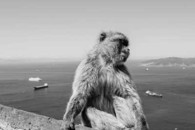 Südeuropa - Gibraltar - Spain Vacation ☀️ Extraordinary Accommodation, Gibraltar day trip and Caminito del Rey - 1