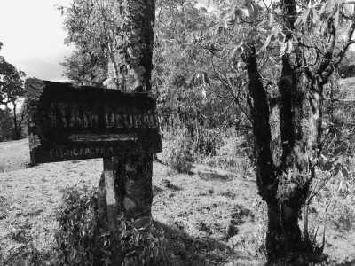 Nepal - Pothana - Panchase Village Hiking from Pokhara, Nepal! Stunning Annapurna range view and great wildlife - 3