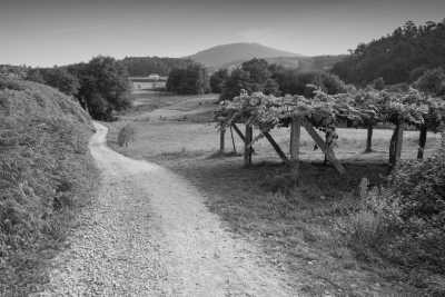 Southern Europe - Pensión Caldea - A Slow and Soulful Walk on the Portuguese Coastal Camino - 4