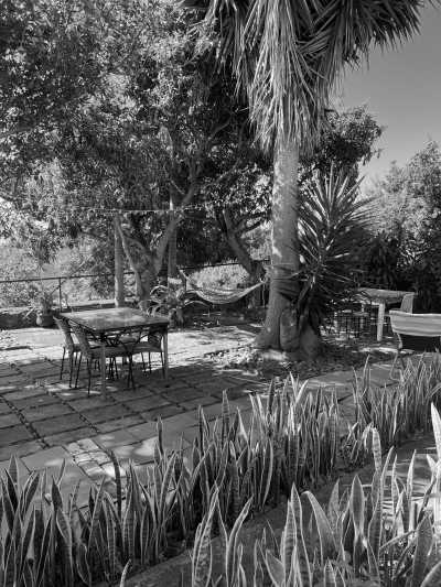 Portugal - Santa Cruz - CoLiving Madeira Santa Cruz, Portugal - Monthly Stays: Why work from home when you can work from paradise? - 11