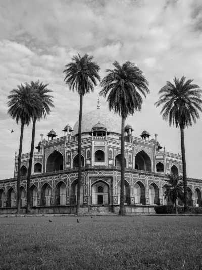 India - New Delhi - Golden Triangle of India - Ranthambhore National Park and More!