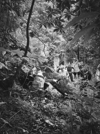 Portugal - Boaventura - Madeira SPECIAL ADVENTURE w/ local guide : A One Of A Kind Hiking Adventure in Madeira: Explore the Island's Trails and Discover Hidden Paths Off the Beaten Track - 3