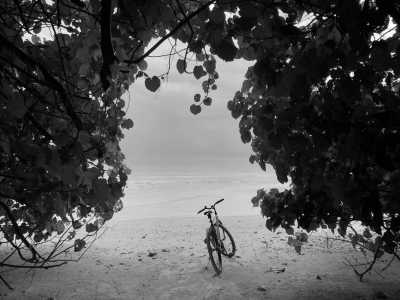 India - Swaraj Dweep - Explore Andaman Archipelago 🌊 A summer beach vacation 🏖️ scuba diving in the pristine marine ecosystem 🤿 explore islands unique wildlife wonders & activities 🐾 sunrise & sunsets - 1