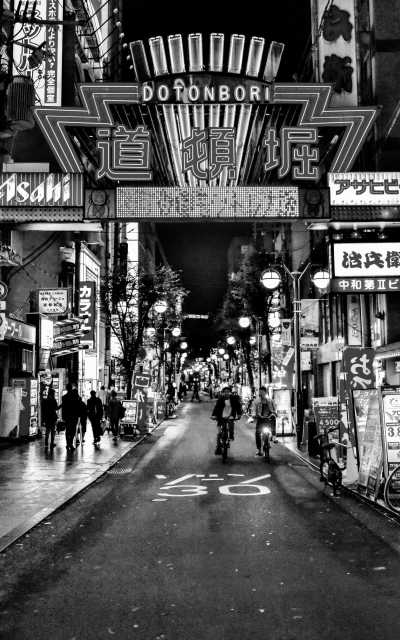 Japan - Dotonbori - 🇯🇵Japan Trip To The Future :Food, Culture, Snow & Wildlife - 1