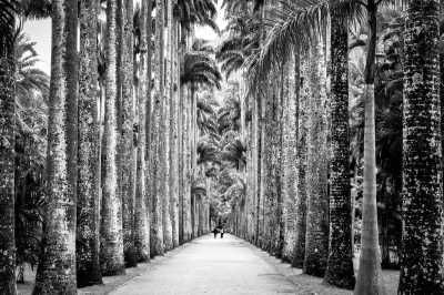 Brazil - Rio de Janeiro - Travel like a local through Rio! - 3